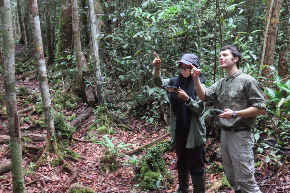 student researcher and his research assistant were following an orangutan at his research center in Central Kalimantan