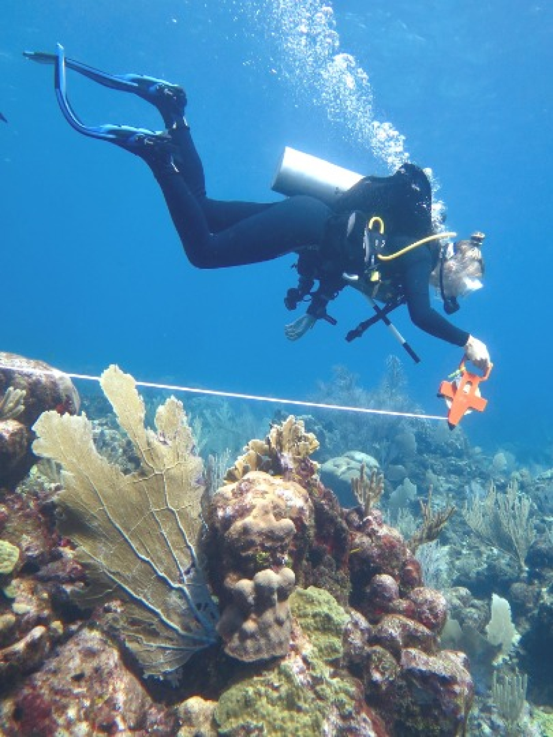 Ellie Casement (Study/Research fellow, 2022-2023).