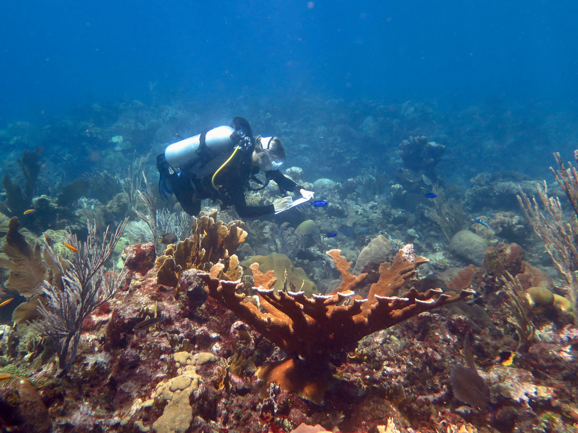 Fulbright grantee snorkeling in the Bay Islands. 